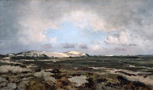 In den Dünen, 1881