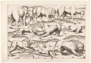 Neun wilde Tiere von Enea Vico (attributed to)