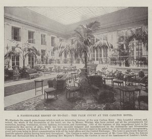 Ein modischer Treffpunkt von heute, der Palm Court im Carlton Hotel von English Photographer