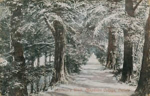 Addisons Walk, Magdalen College, Oxford von English Photographer
