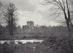 Blarney Schloss von English Photographer