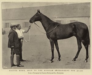 Galtee More, an die russische Regierung für £21.000 verkauft von English Photographer