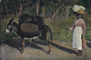 Auf dem Weg zum Markt, Jamaika