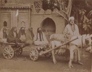 Pferdewagen, Kairo, 1893