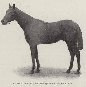 Kilcock, Gewinner der Queens Stand Plate von English Photographer