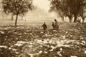 Mit Müll übersäte Wiese auf Hampstead Heath am Tag nach einem Feiertag, aus Wonderful London, veröffentlicht 1926-27