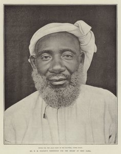 Mr. H. M. Stanleys Expedition zur Rettung von Emin Pascha von English Photographer