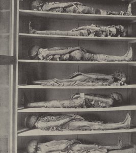 Mumien von Priestern, die Körper von Priestern, die vor Aaron und seinen Söhnen einbalsamiert wurden von English Photographer