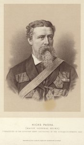 Porträt von Colonel William Hicks von English Photographer