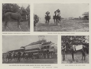 Szenen in Ascot, 1901