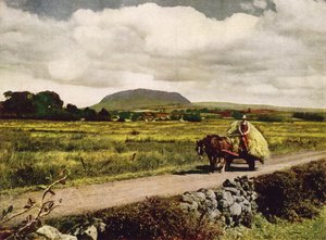 Slemish, County Antrim (Farbfoto)