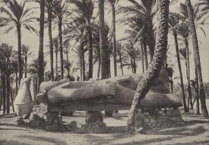 Statue von Ramses II., liegend in der Stadt, von der Jeremia sagte, sie solle ohne Einwohner sein von English Photographer