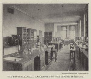 Das bakteriologische Labor des Jenner-Instituts von English Photographer