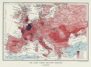 Die wichtigsten Weizenanbaugebiete, Europa