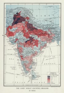 Die Hauptweizenanbaugebiete, Indien (Foto) von English Photographer
