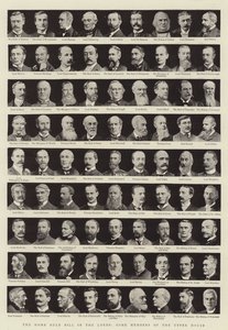 Das Home Rule Bill im Oberhaus, einige Mitglieder des Oberhauses von English Photographer