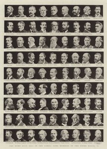 Das Home Rule Gesetz im Oberhaus, einige Mitglieder des Oberhauses, II von English Photographer