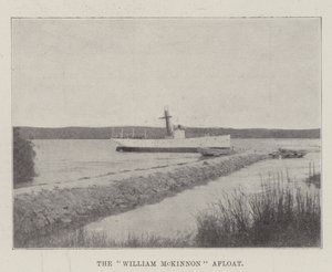 Die William McKinnon schwimmt von English Photographer