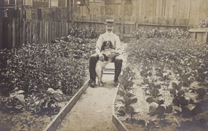 Gemüsegarten von English Photographer