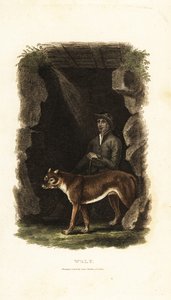 Englischer Gentleman des 18. Jahrhunderts und sein zahmer Wolf, Canis lupus, am Eingang einer Höhle von English School