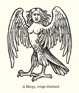 Eine Harpyie, Flügel offenbart (Gravur)