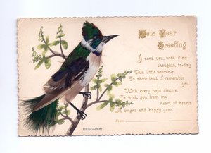 Neujahrskarte mit einem aus Federn gefertigten Eisvogel auf einem handgemalten Baum, um 1900 von English School