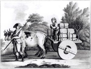 Eine portugiesische Farm, aus A General View of the State of Portugal von James Murphy, veröffentlicht 1797 von English School