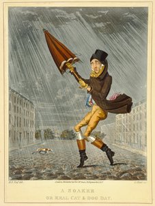 Ein Trinker oder ein echter Katzen- und Hundetag, graviert von G. Hunt, veröffentlicht von Thomas McLean, London, 1827 (farbige Radierung)