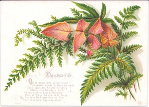 Eine viktorianische Weihnachtskarte mit einem Farnzweig, ca. 1880