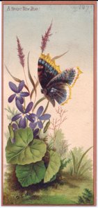 Eine viktorianische Neujahrskarte mit Veilchen und einem Schmetterling, um 1880 von English School