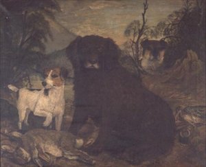 Ein Wasserspaniel und zwei Jack Russells bei der Tagesbeute von English School