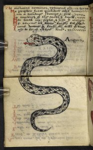 Add MS 57312 f.4 Jagdbuch