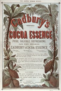 Werbung für Cadburys Kakao-Essenz, aus The Graphic, 1878