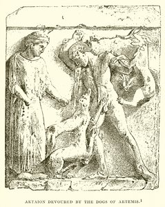 Aktaion wird von den Hunden der Artemis verschlungen von English School