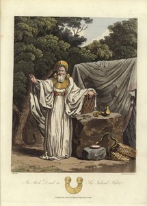 Ein Erz-Druide in seiner richterlichen Tracht
