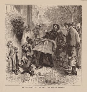 Eine Illustration der darwinistischen Theorie von English School