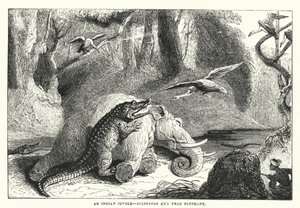 Ein indischer Dschungel, Alligator und toter Elefant (Gravur)