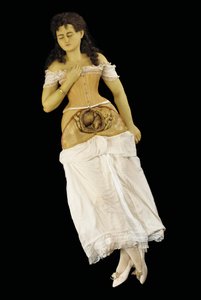 Anatomisches Modell einer schwangeren Frau von English School