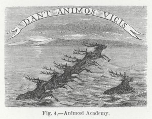 Animosi Akademie (Gravur) von English School