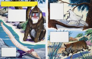 Verschiedene Tiere von English School