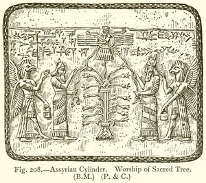 Assyrischer Zylinder. Verehrung des heiligen Baumes