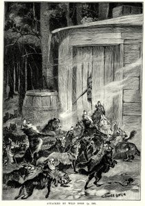 Von wilden Hunden angegriffen (Gravur) von English School