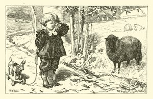 Baa, Baa, Schwarzes Schaf von English School
