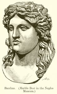 Bacchus. (Marmorbüste im Museum von Neapel) (Gravur)