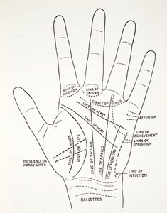 Grundlinien und Nebenlinien der Hand von English School