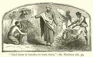 Bindet sie in Bündel, um sie zu verbrennen (St Matthäus, xiii, 30) von English School