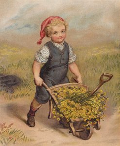 Junge schiebt eine Schubkarre voller Blumen von English School