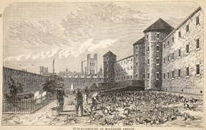 Friedhof im Millbank Prison, Illustration aus The Criminal Prisons of London and Scenes from Prison Life von Henry Mayhew und John Binny, veröffentlicht 1862