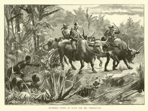 Buschmänner lauern auf Mr. Threlfall von English School