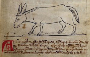 CCA-LitMs/D/10 fol. 10r Esel, aus Bestiarium von English School